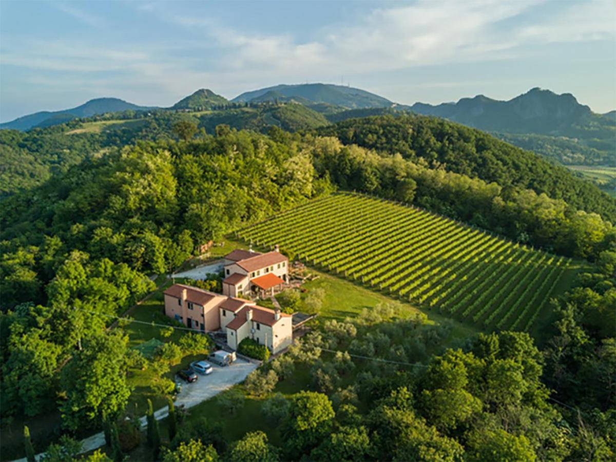 Agriturismo Terre Bianche Teolo Extérieur photo