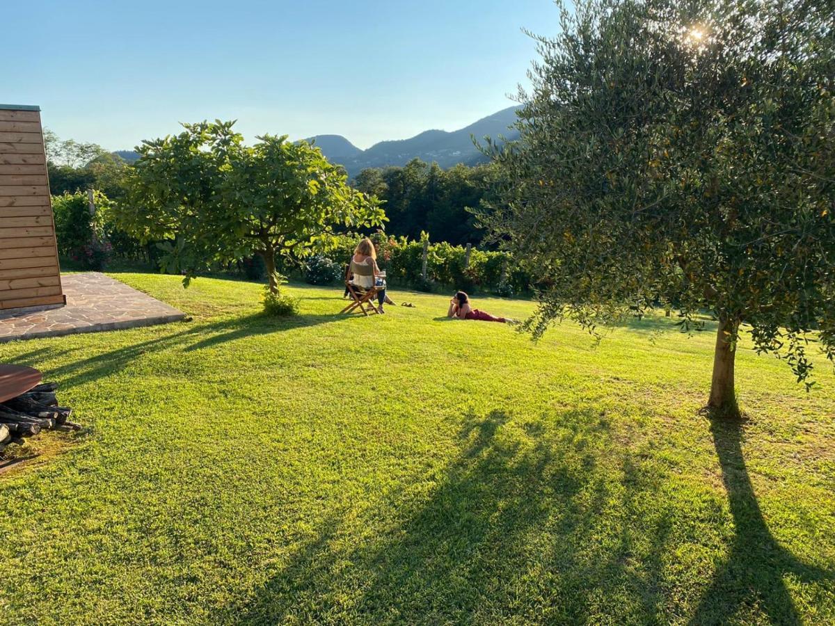 Agriturismo Terre Bianche Teolo Extérieur photo