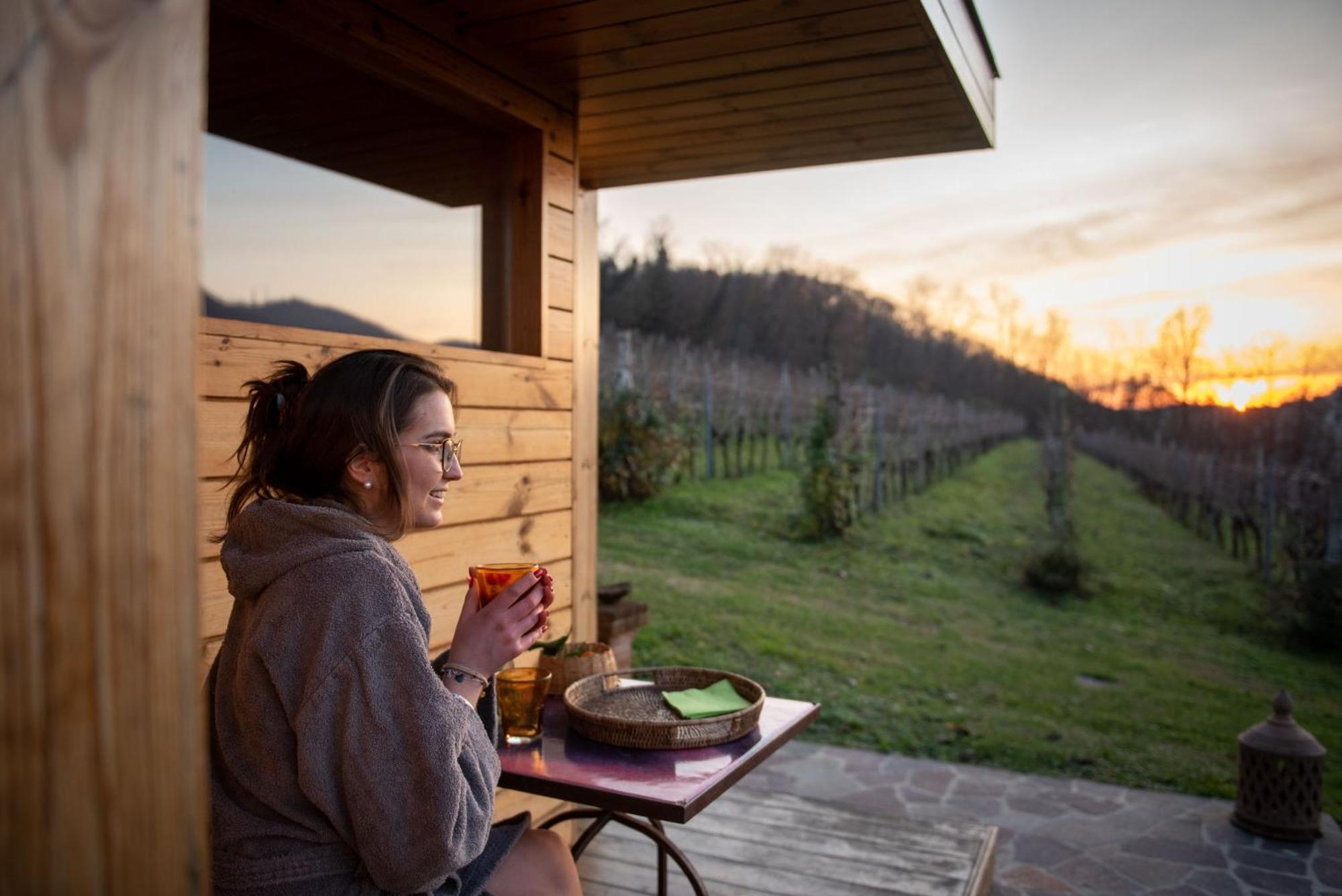 Agriturismo Terre Bianche Teolo Extérieur photo