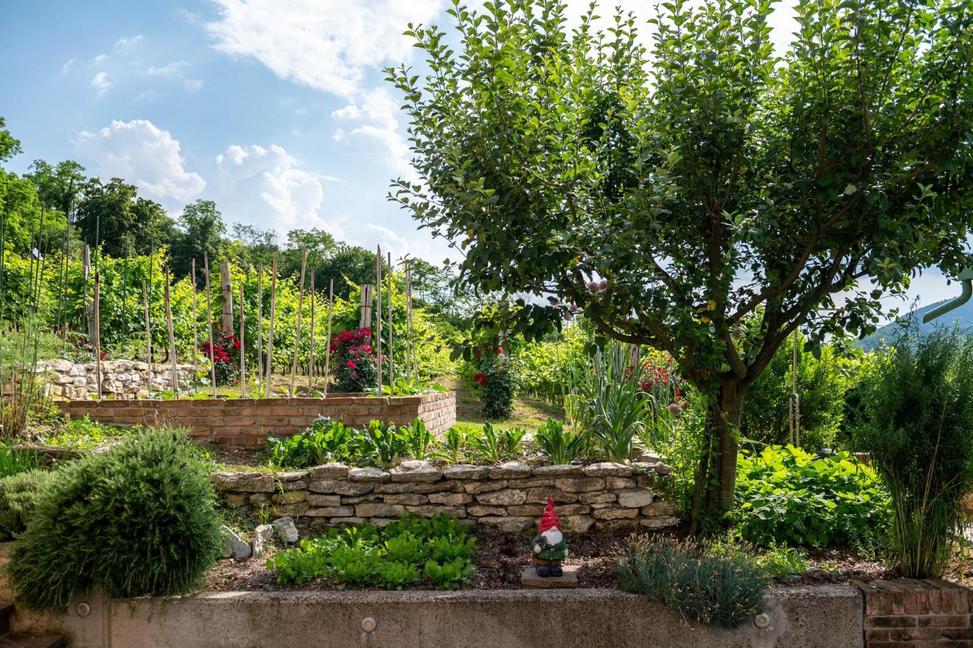 Agriturismo Terre Bianche Teolo Extérieur photo