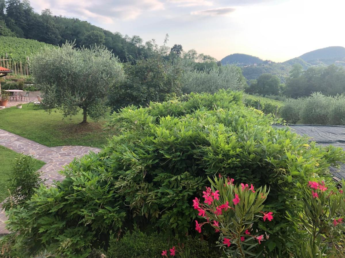 Agriturismo Terre Bianche Teolo Extérieur photo